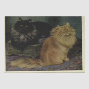 Papier Mousseline Ephémère de chat Decoupage Fumée Persians orange