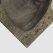 Papier Mousseline Ephémère de chat gris et blanc Découpage (Détail)