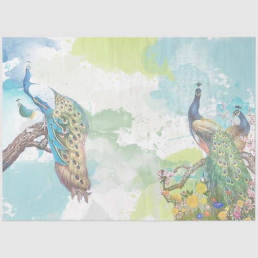 Papier Mousseline Ephémère de paon 1 (Recto)