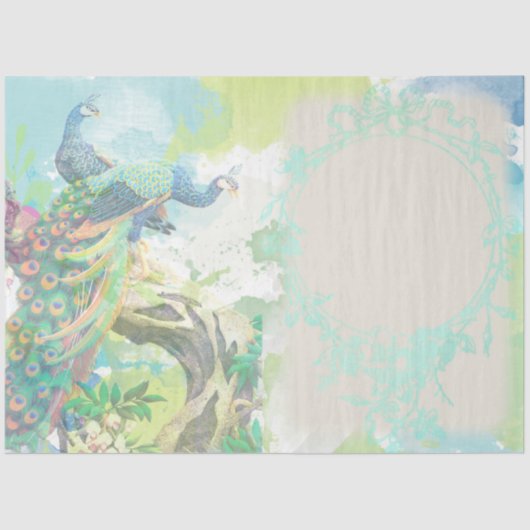 Papier Mousseline Ephémère de paon 3 (Recto)