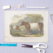 Papier Mousseline Éphémère de vache blanche Brown Découpage ferme Vi (Artisanat)