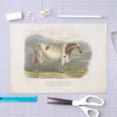 Papier Mousseline Éphémère de vache tachetée blanche Découpage Ferme (Artisanat)