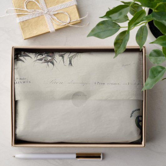 Papier Mousseline Ephémère Découpage Peacock en français (Cadeau)