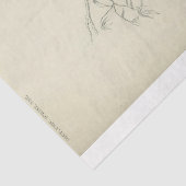 Papier Mousseline Ephémère Découpage Peacock en français (Détail)