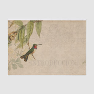 Papier Mousseline Ephémère des colibris vintages