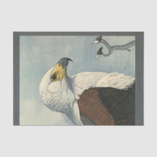 Papier Mousseline Ephémère des oiseaux Découpage Aigle de mer