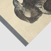 Papier Mousseline Ephémère des oiseaux Découpage Aigle de mer (Détail)