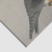 Papier Mousseline Ephémère des oiseaux Découpage Faucon gris (Détail)