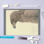 Papier Mousseline Ephémère d'oiseaux Découpage Aigle Brown (Artisanat)