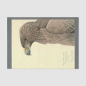 Papier Mousseline Ephémère d'oiseaux Découpage Aigle Brown (Recto)