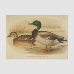 Papier Mousseline Ephémère d'oiseaux Découpage Canard de mer Vintage