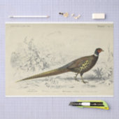 Papier Mousseline Ephémère d'oiseaux Découpage faisan français (Artisanat)