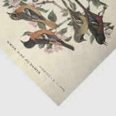 Papier Mousseline Ephémère d'oiseaux Découpage Fleurs florales (Détail)