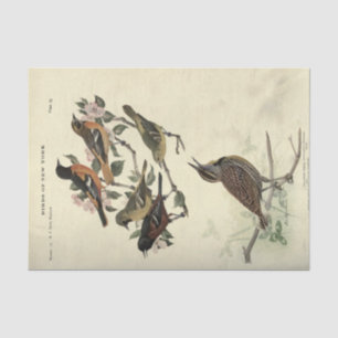 Papier Mousseline Ephémère d'oiseaux Découpage Fleurs florales
