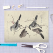 Papier Mousseline Ephémère d'oiseaux Découpage gris noir New York (Artisanat)