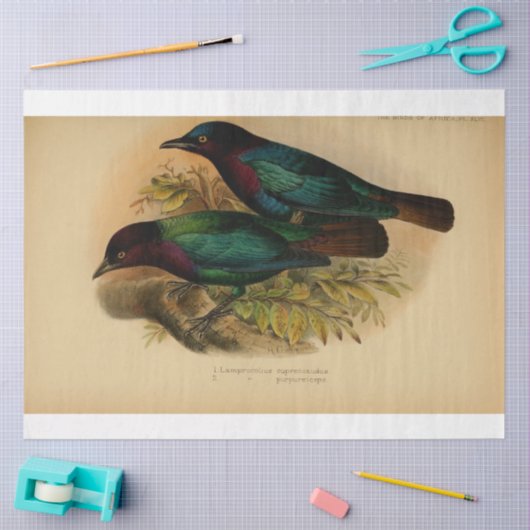 Papier Mousseline Ephémère d'oiseaux Découpage violet Turquoise (Artisanat)