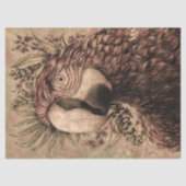 Papier Mousseline Ephémère d'oiseaux perroquets papier de tissus fle (Recto)