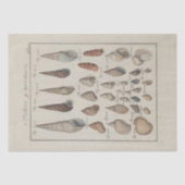 Papier Mousseline Ephémère Ephémère Ephémère Découpage Français (Recto)