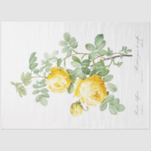 Papier Mousseline Ephémère florale de roses jaunes Découpage