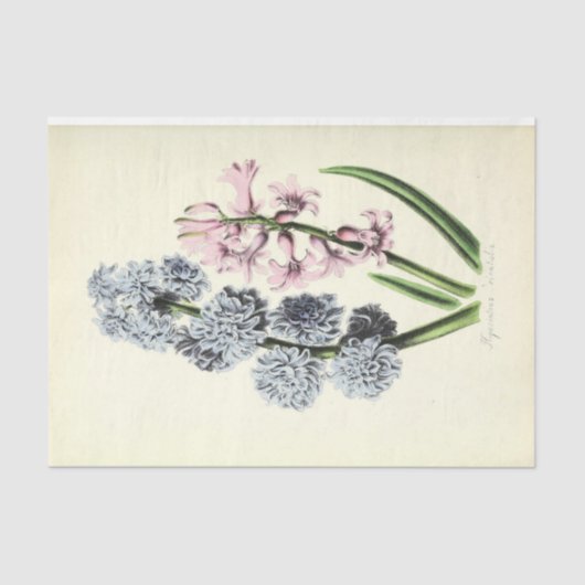 Papier Mousseline Ephémère florale Découpage Bleu et rose (Recto)