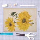 Papier Mousseline Ephémère Florale Découpage Fleurs de soleil jaunes (Artisanat)