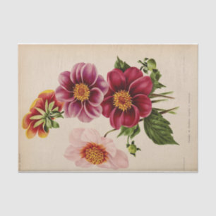 Papier Mousseline Ephémère florale Découpage Fleurs roses