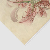 Papier Mousseline Ephémère florale Découpage Fleurs roses (Détail)