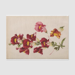 Papier Mousseline Ephémère florale Découpage Fleurs roses