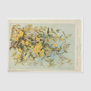 Papier Mousseline Ephémère florale Découpage Jasmine Tournesols