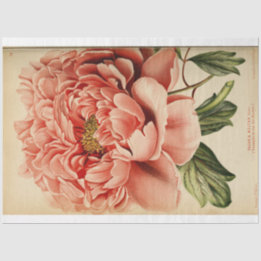 Papier Mousseline Ephémère Florale Découpage Peine rose