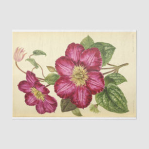 Papier Mousseline Éphémère florale Découpage rose