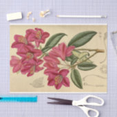 Papier Mousseline Éphémère florale Découpage rose (Artisanat)