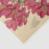Papier Mousseline Éphémère florale Découpage rose (Détail)