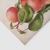 Papier Mousseline Ephémère florale Découpage rose Peach (Détail)