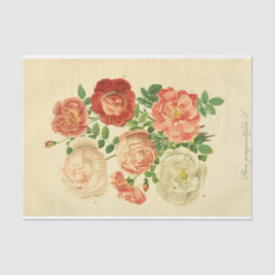 Papier Mousseline Ephémère florale Découpage Roses roses blanches