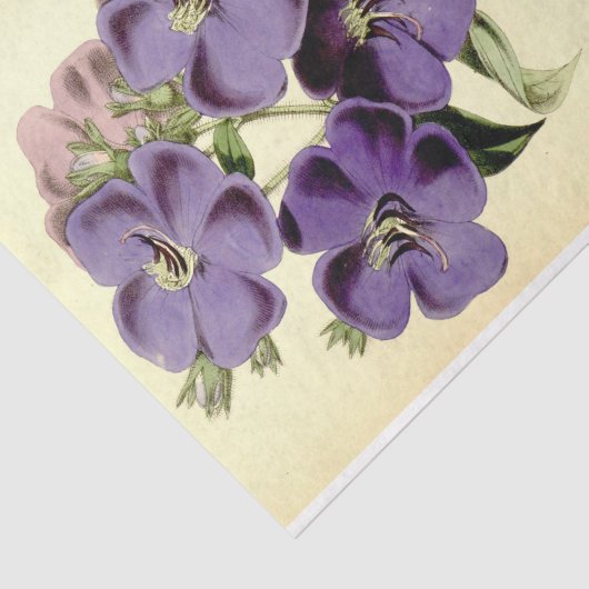 Papier Mousseline Ephémère florale Découpage violet (Détail)
