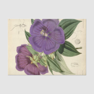 Papier Mousseline Ephémère florale Découpage violet