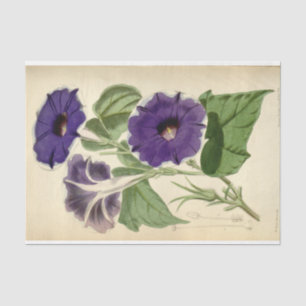 Papier Mousseline Ephémère florale Découpage violet