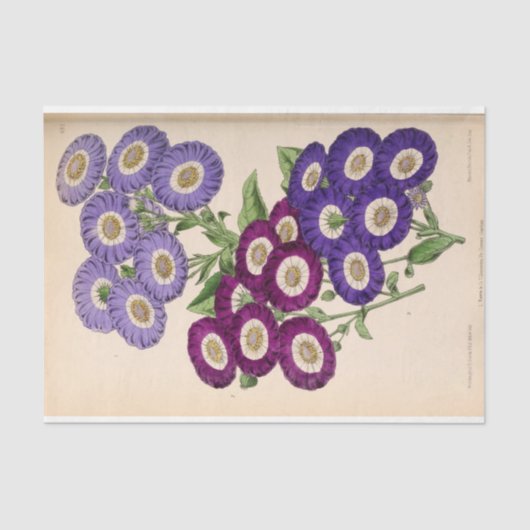 Papier Mousseline Ephémère Florale Découpage Violet Fleurs française (Recto)
