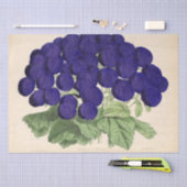 Papier Mousseline Ephémère Florale Découpage Violet Fleurs française (Artisanat)