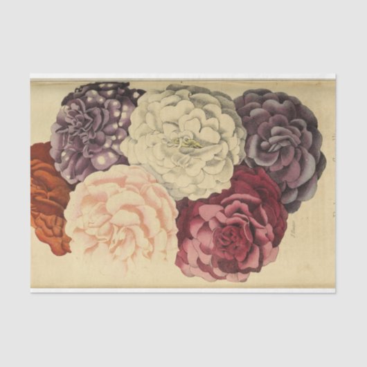 Papier Mousseline Ephémère florale Découpage violet rose blanc (Recto)