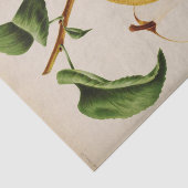Papier Mousseline Ephémère florale Découpage Yellow Pear (Détail)