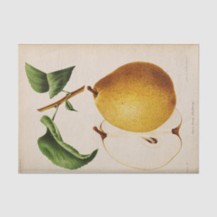 Papier Mousseline Ephémère florale Découpage Yellow Pear