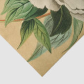 Papier Mousseline Ephémère Florale vintage Découpage Blanc (Détail)