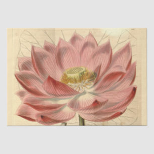 Papier Mousseline Ephémère Florale vintage française Découpage Rose 