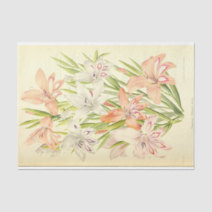 Papier Mousseline Ephémère Florale vintage française Découpage Rose 