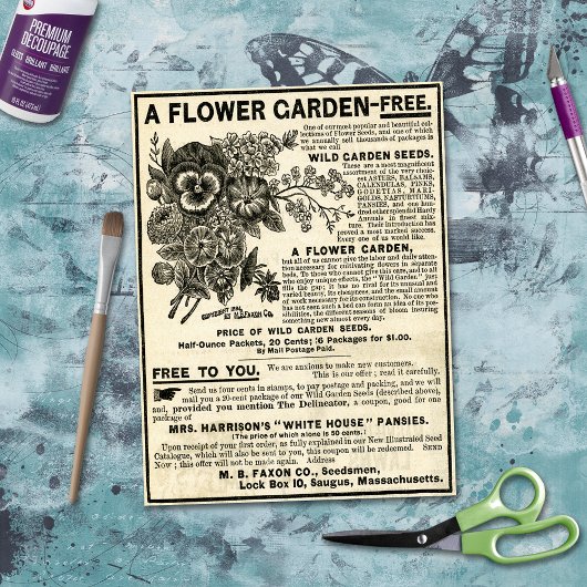 Papier Mousseline Ephémère Jardin Fleur Découpage