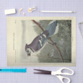 Papier Mousseline Ephémère Jay Bleu Oiseau Découpage Vintage (Artisanat)