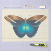 Papier Mousseline Ephémère papillon bleu vintage Découpage Turquoise (Artisanat)