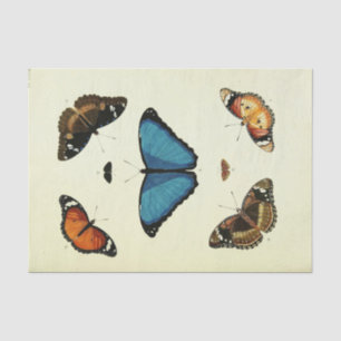 Papier Mousseline Éphémère papillon bleu vintage Script T